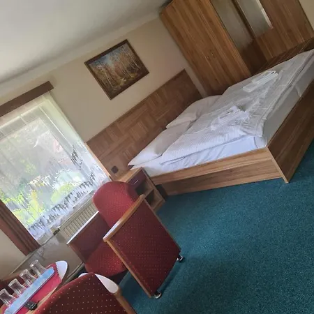 Guest house Penzion Rosa